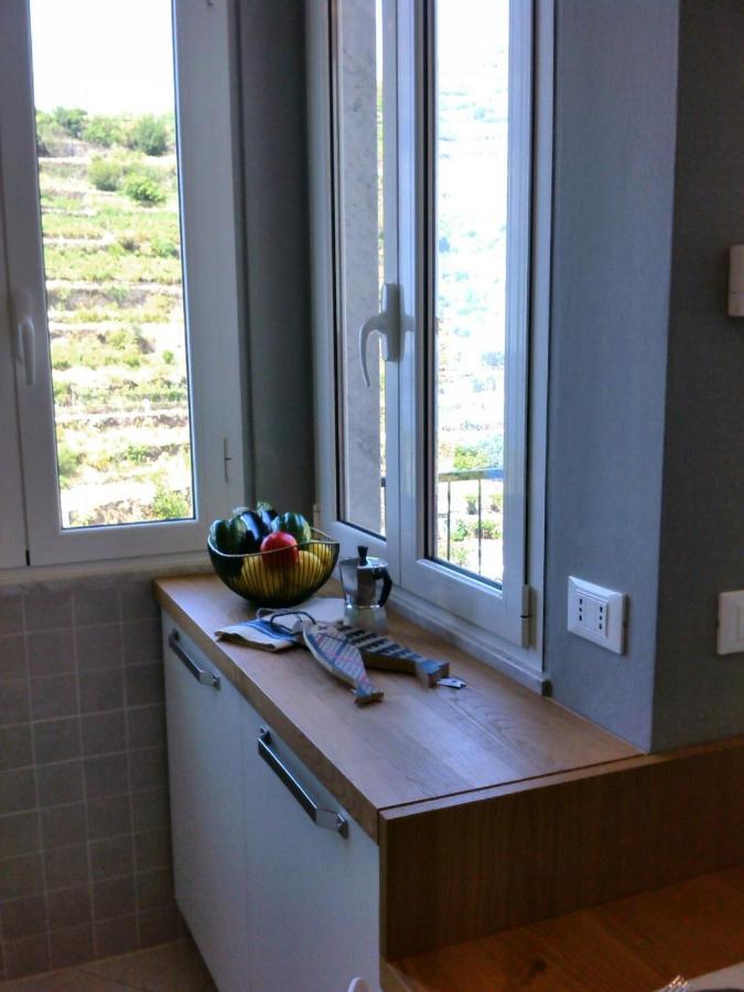 Il Bordone - Appartamento Con Vista Mare Manarola Exterior photo